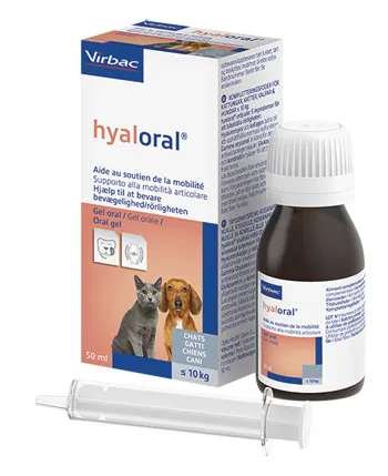 Hyaloral Gel Orale 50 ml