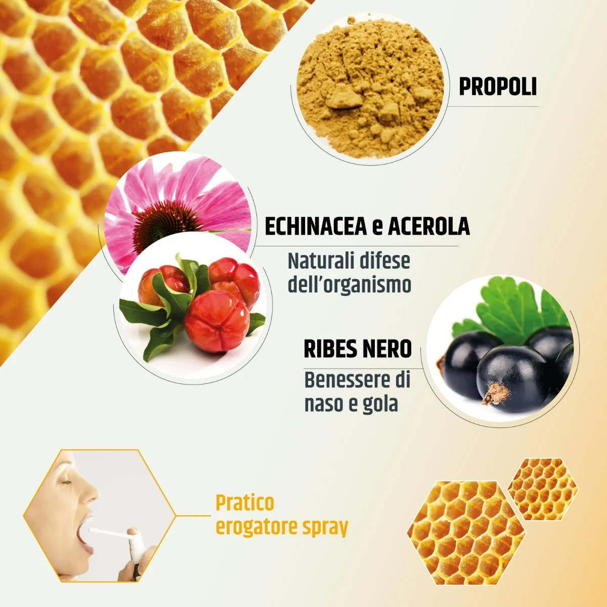 Propol-Sy 30 ml Favorisce le Naturali Difese dell'Organismo