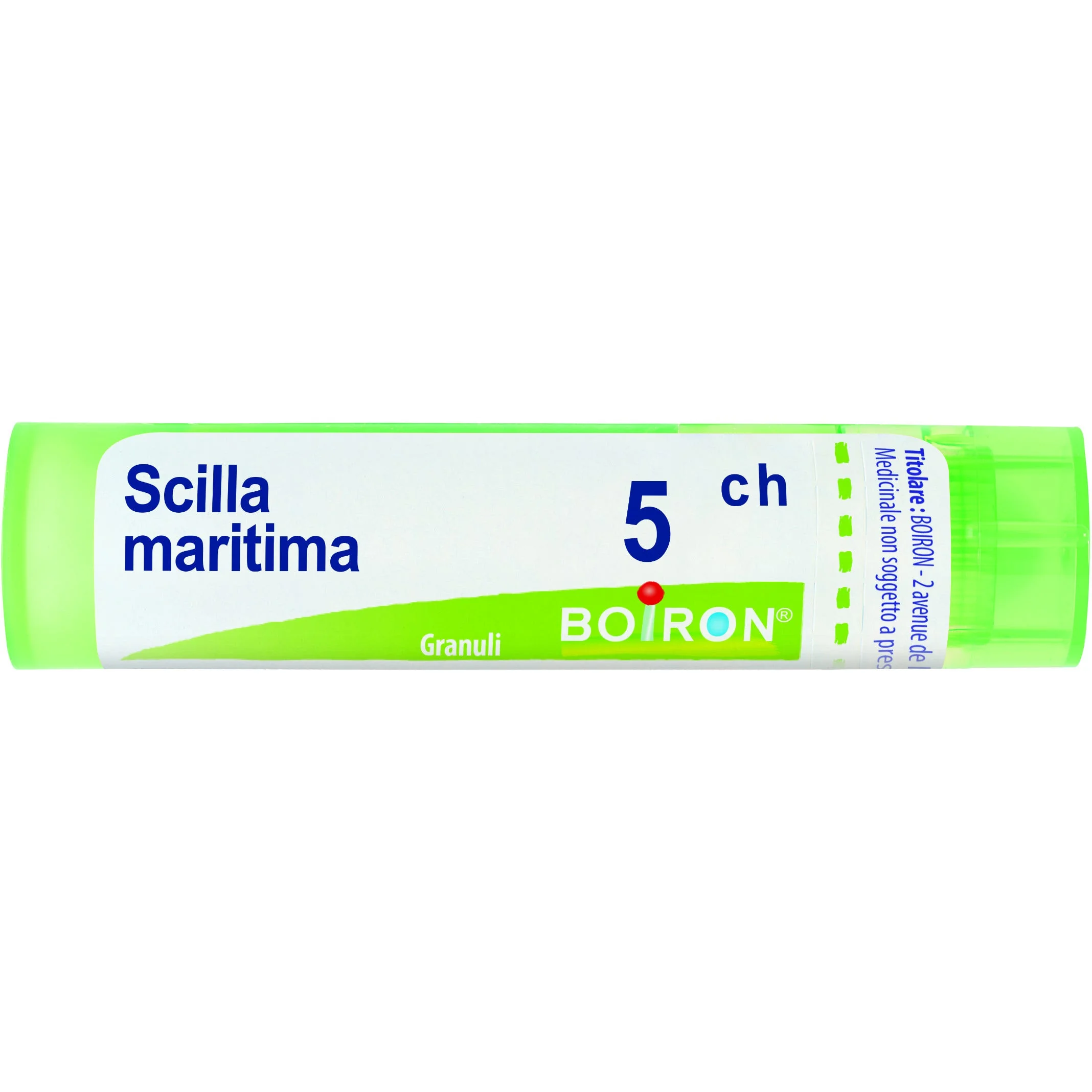 Scilla Maritima 5Ch Granuli 