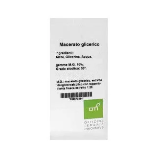 Ulmus Campestri Mg10% Gocce100 ml
