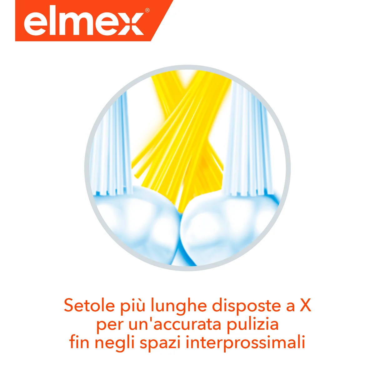 Elmex Junior Spazzolino Morbido Bambini 6-12 anni