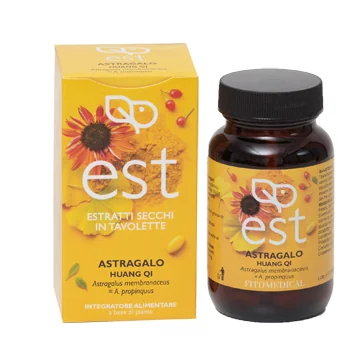 Astragalo Es 60Tav
