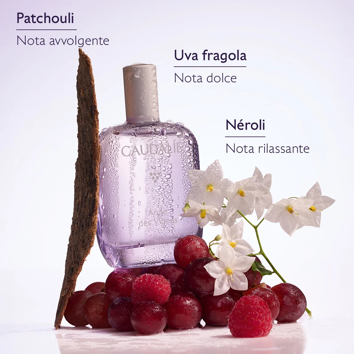 Ange Des Vignes Eau De Parfum 50 Ml