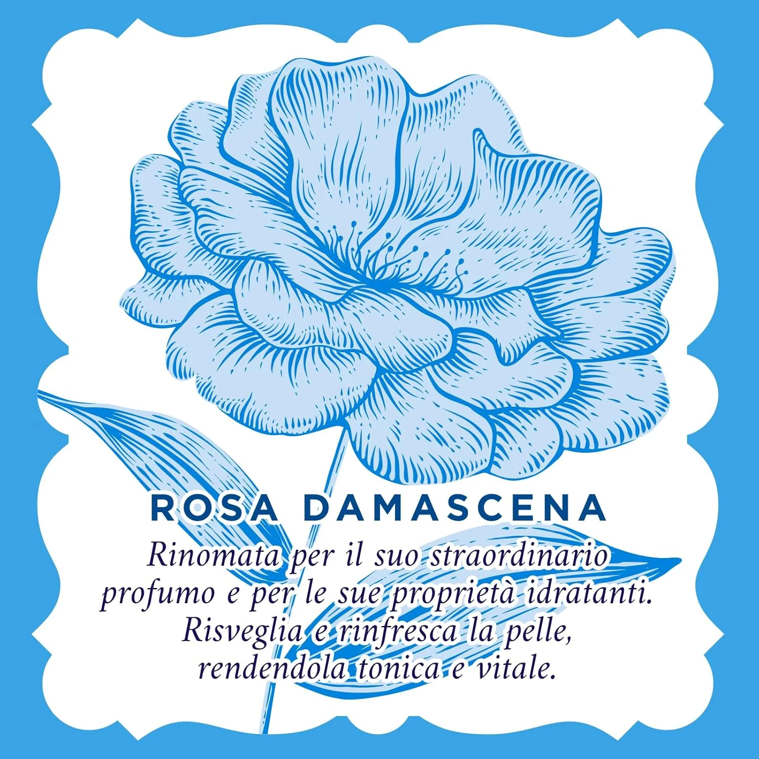 Acqua Alle Rose Crema Viso Idratante Rinfrescante 50 Ml