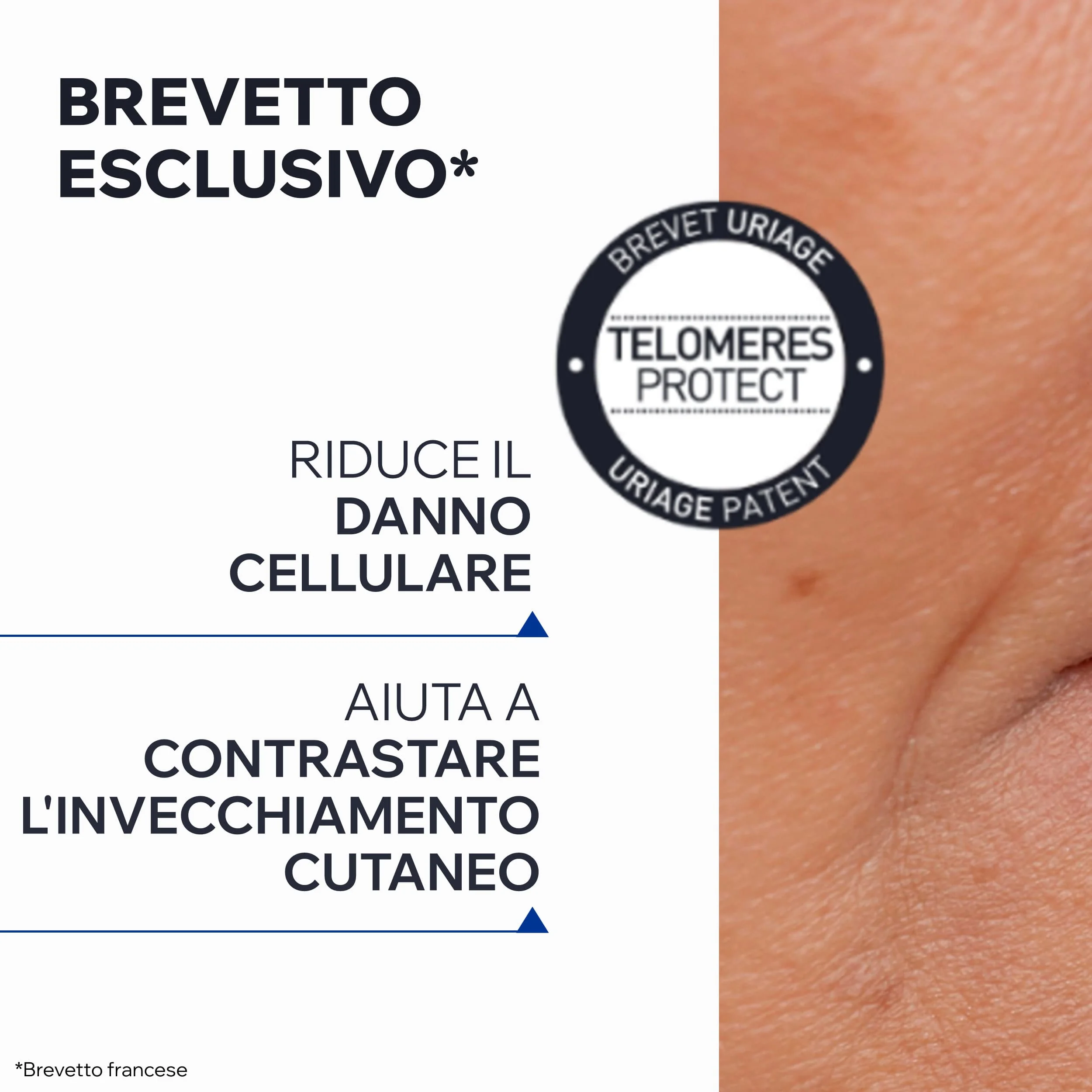 Age Absolu Crema Notte Rigenerante Viso 50 ml Adatta a Pelli Sensibili