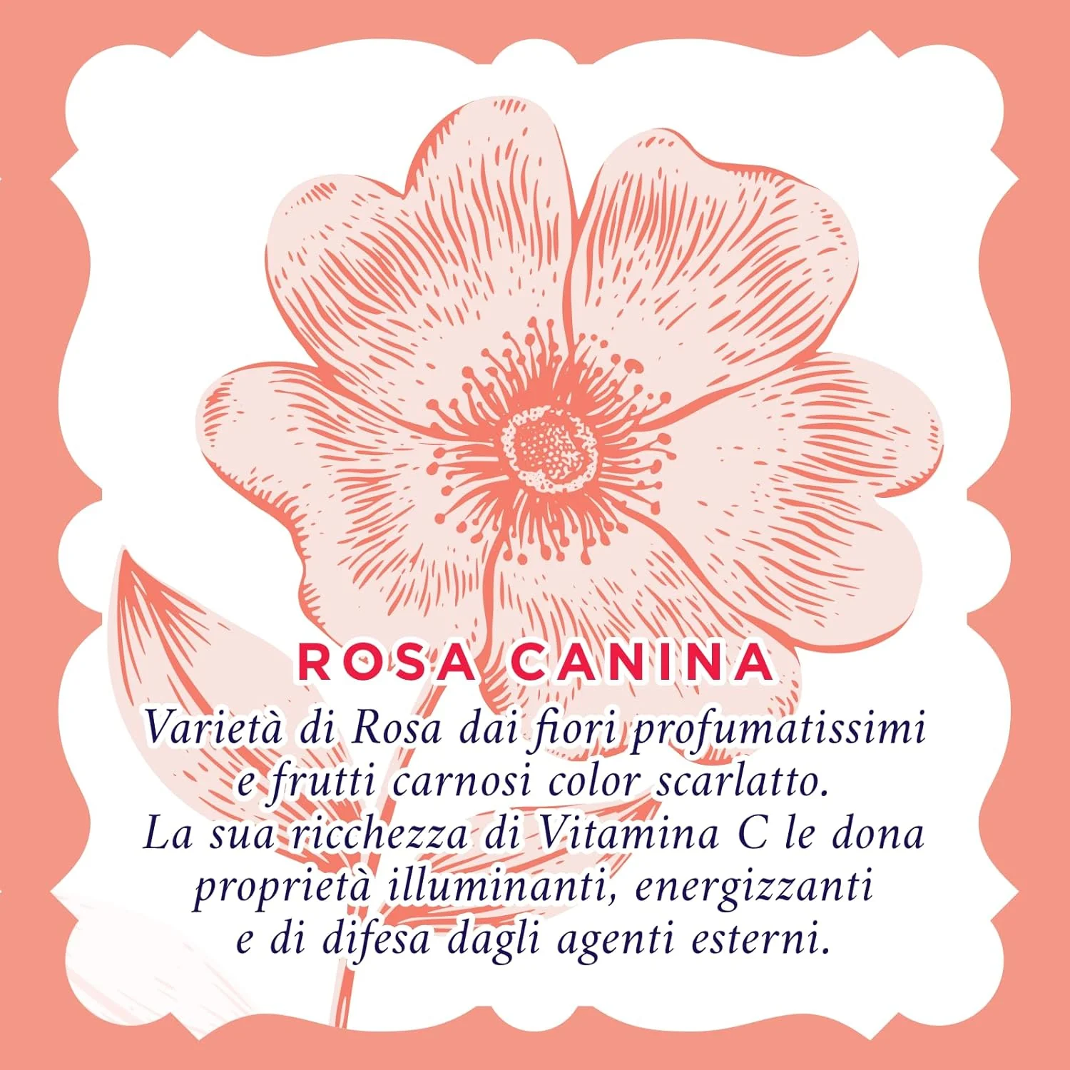 Acqua Alle Rose Gel Lavaviso Illuminante 200 Ml