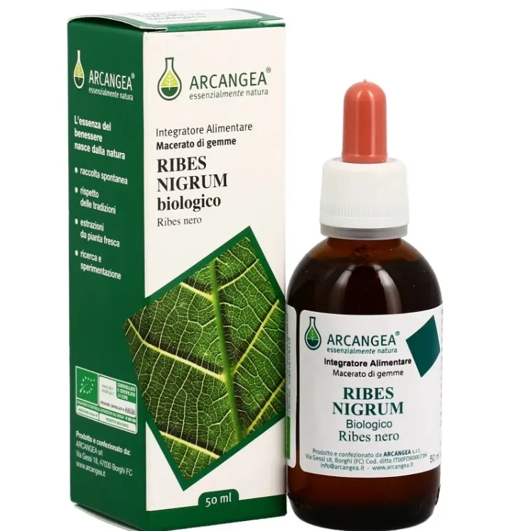 Ribes Nigrum Gd 33 Bio 100 ml Disturbi Urinari