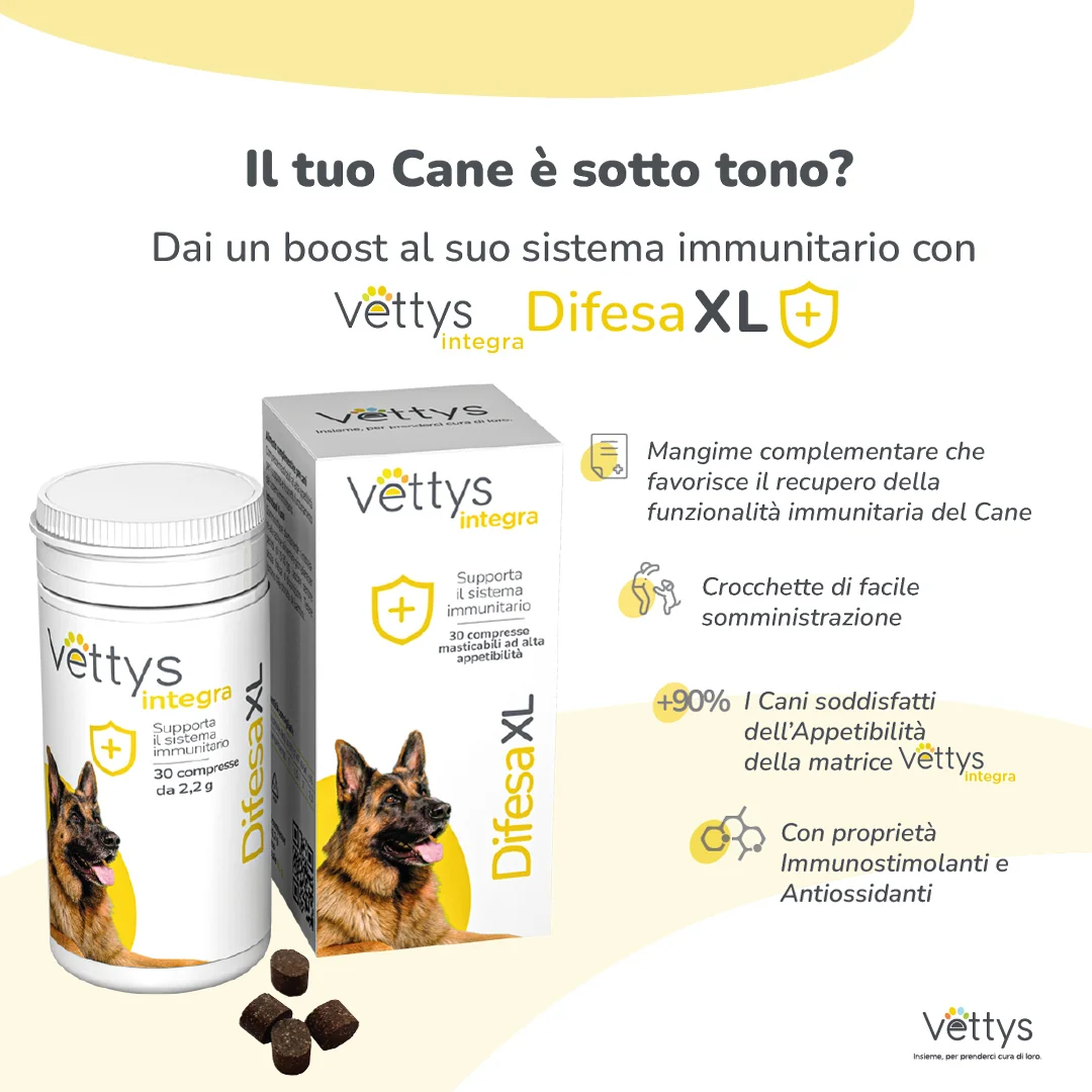 Vettys Integra Difesa Xl 30 Compresse