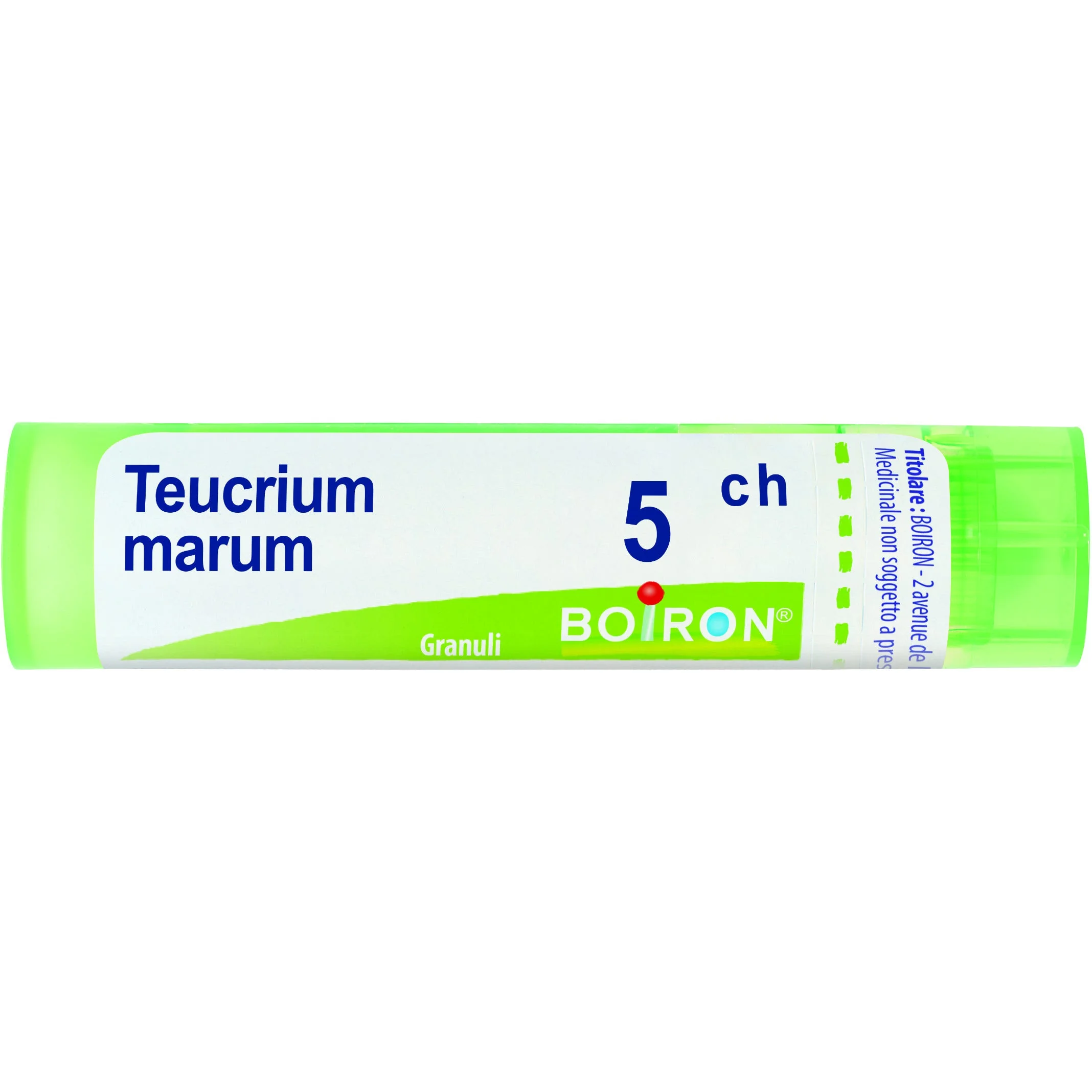 Teucrium Marum 5 Ch 80 Gr 4 G 