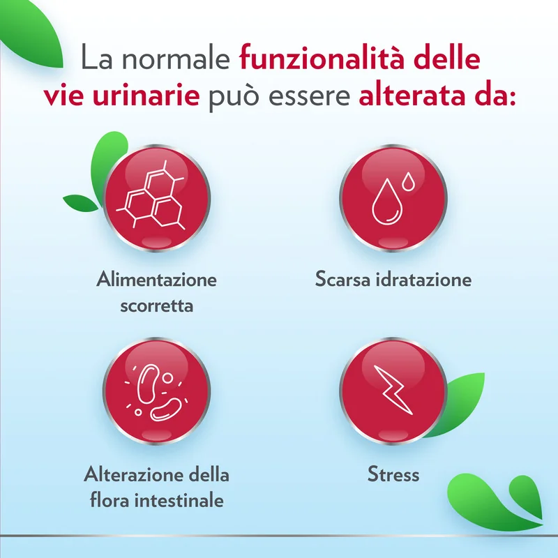 Gyno-CanesCystil Integratore con D-Mannosio 14 Bustine Benessere Vie Urinarie
