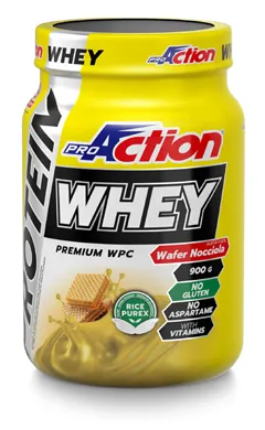 Proaction Whey Rich Chocol900 g