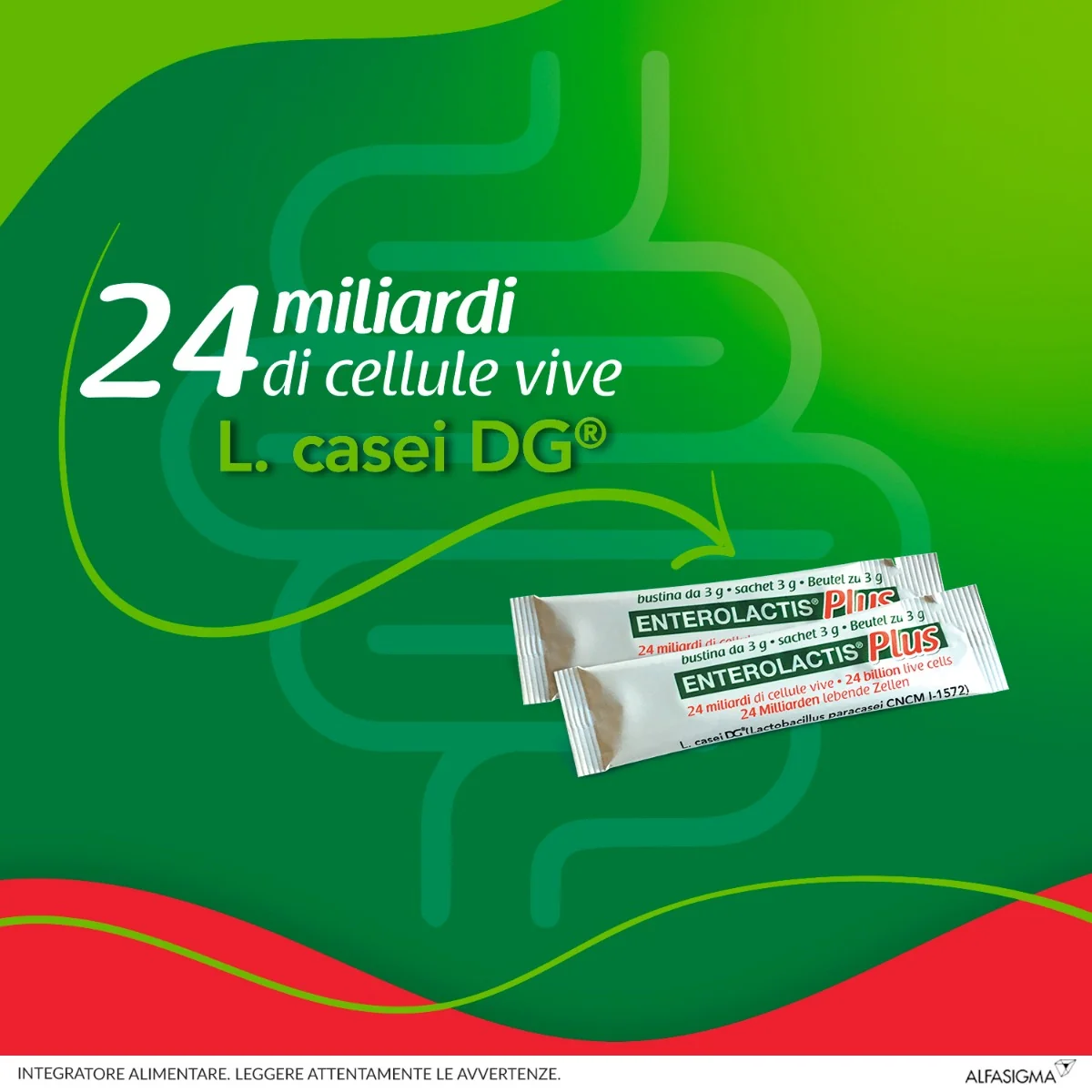Enterolactis Plus 14 Bustine Integratore alimentare a base di fermenti lattici vivi