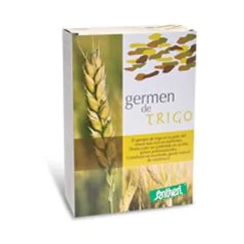 Germe Grano Polvere 400 g Stv