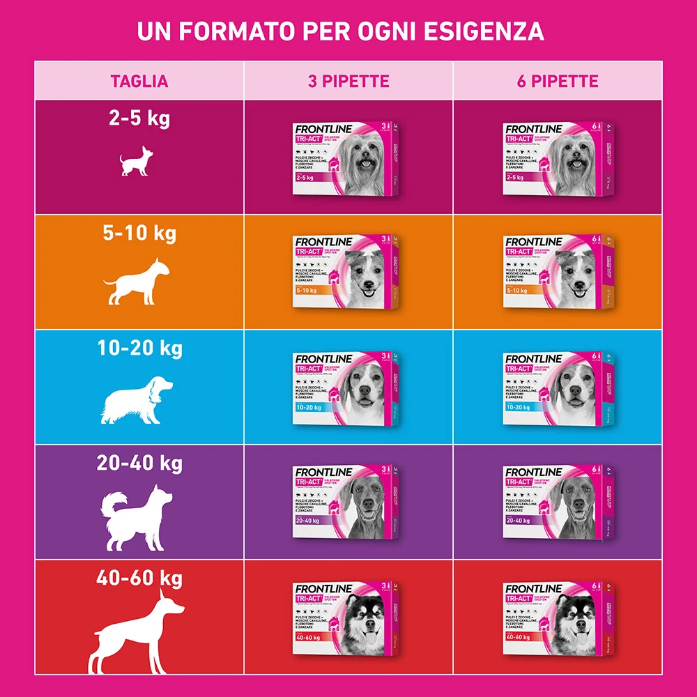 Frontline Tri-Act X6 Antiparassitario Per Cani Contro Parassiti E Insetti Volanti (5-10Kg)
