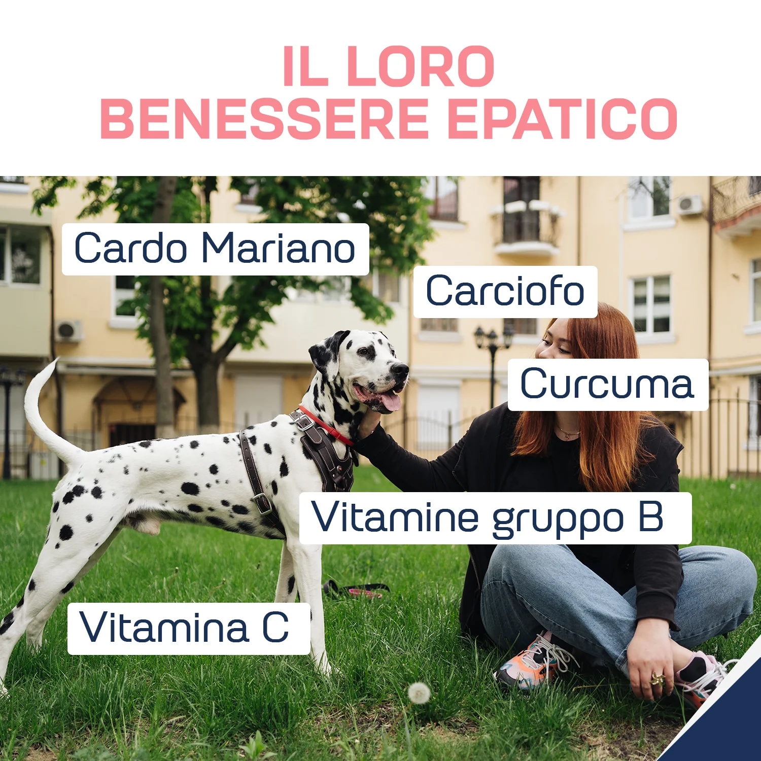 Suprapet Fegapet 30Cpr Drenaggio Liquidi Corporei