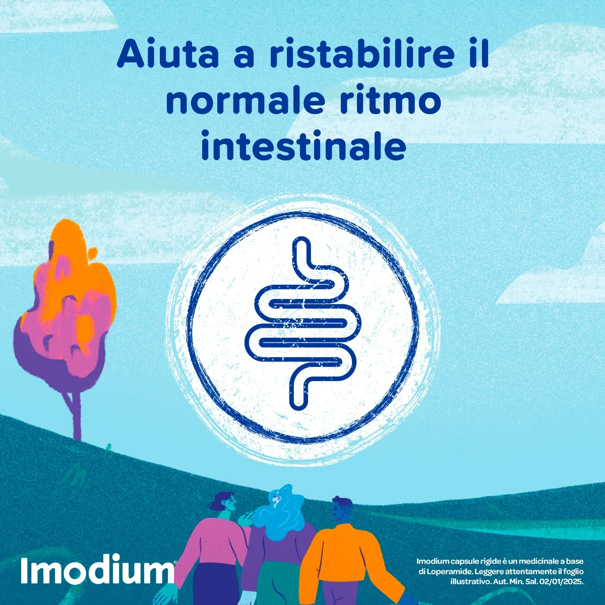 Imodium Diarrea Occasionale Acuta 12 Compresse Per Intestino