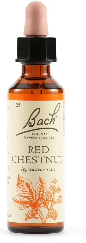 Schwabe Fiori di Bach Red 25 Chestnut Gocce 20 ml