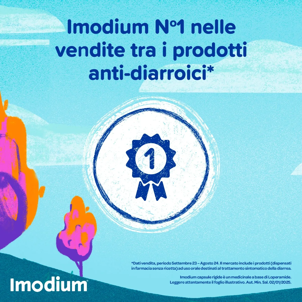 Imodium Diarrea Occasionale Acuta 12 Compresse Per Intestino