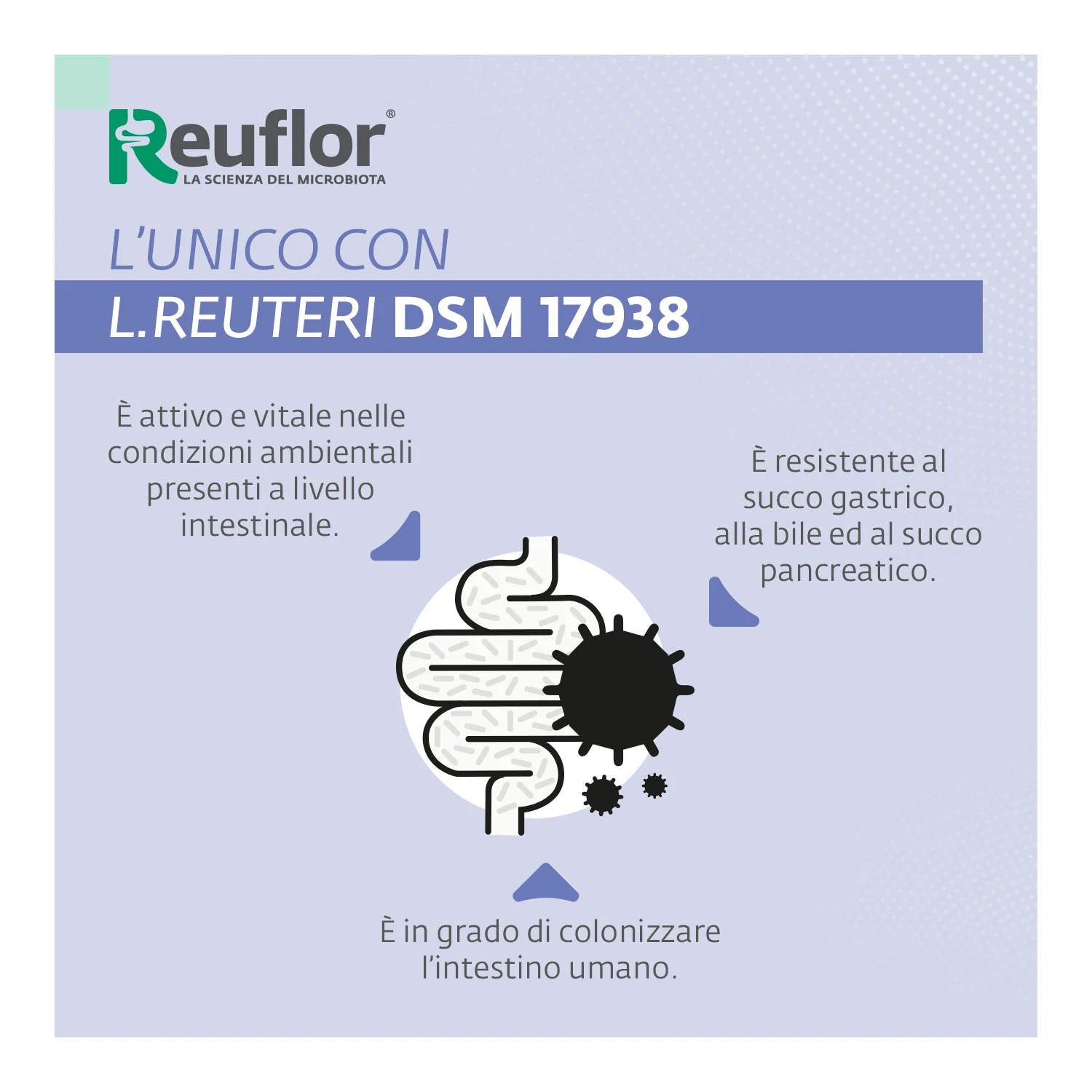 Reuflor D3 Gocce 5 Ml