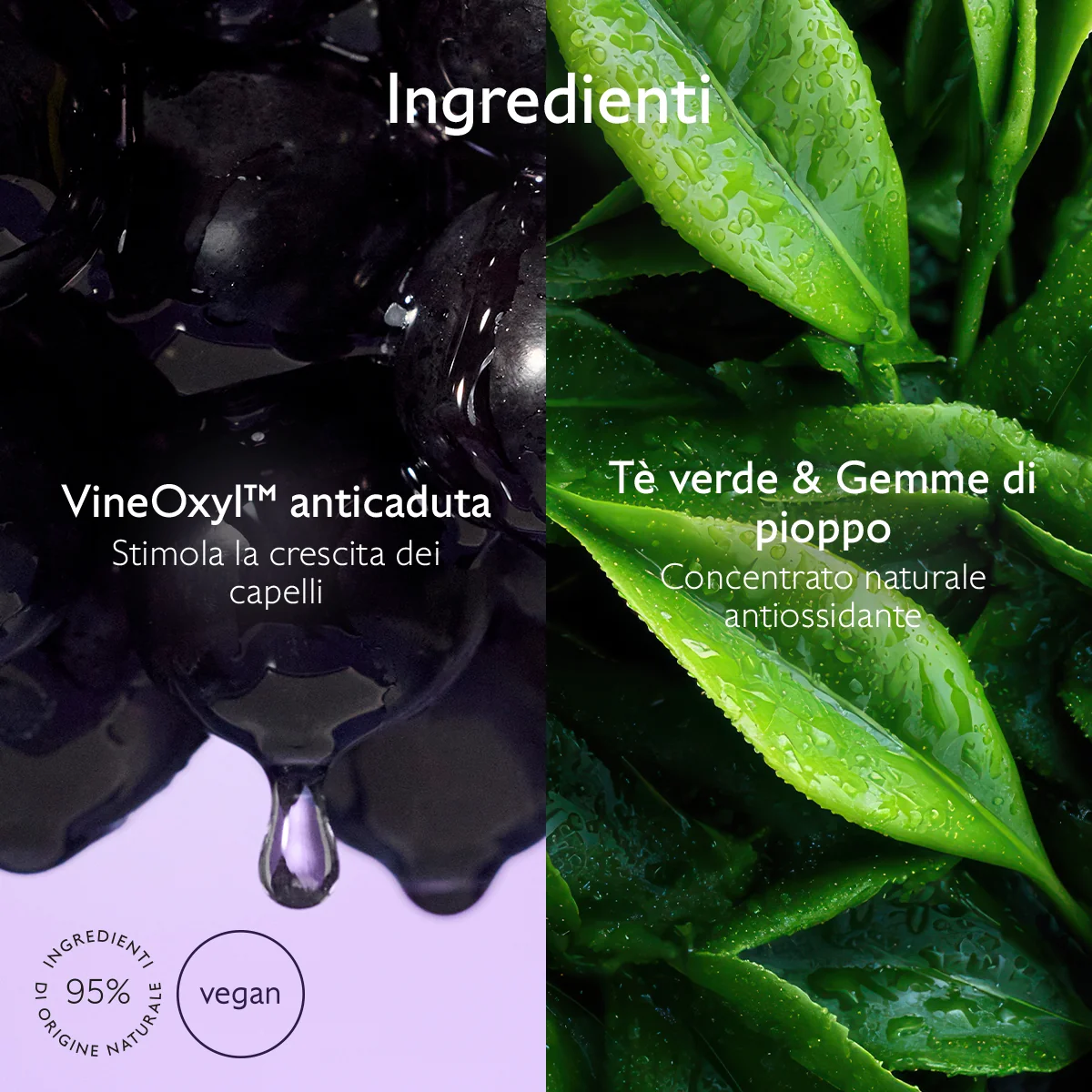 Caudalie Shampoo Ridensificante & Volumizzante Stimola Crescita Capelli