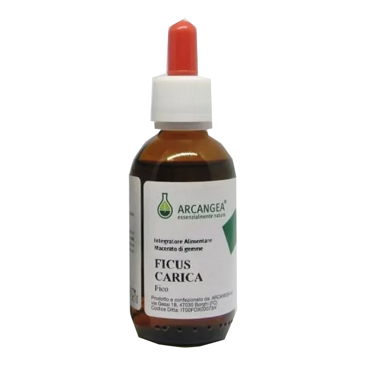 Ficus Carica Bio 33 Gradi 100 ml Ansia e Problemi Gastrici