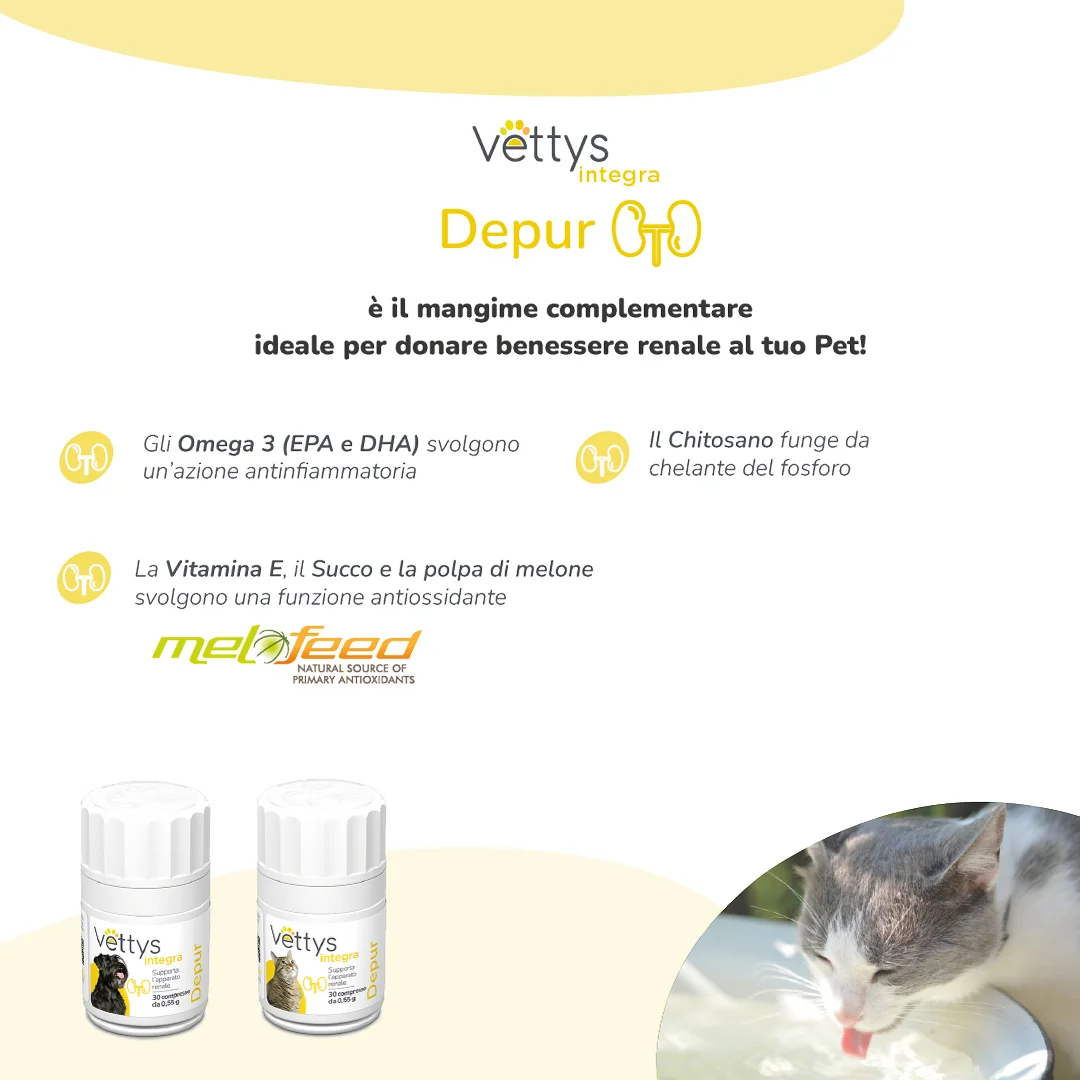 Vettys Integra Depur Gatto 30 Compresse Reni del Gatto