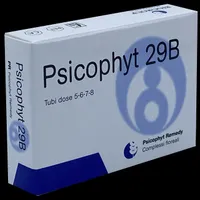 Psicophyt Remedy 29B 4Tub 1,2G