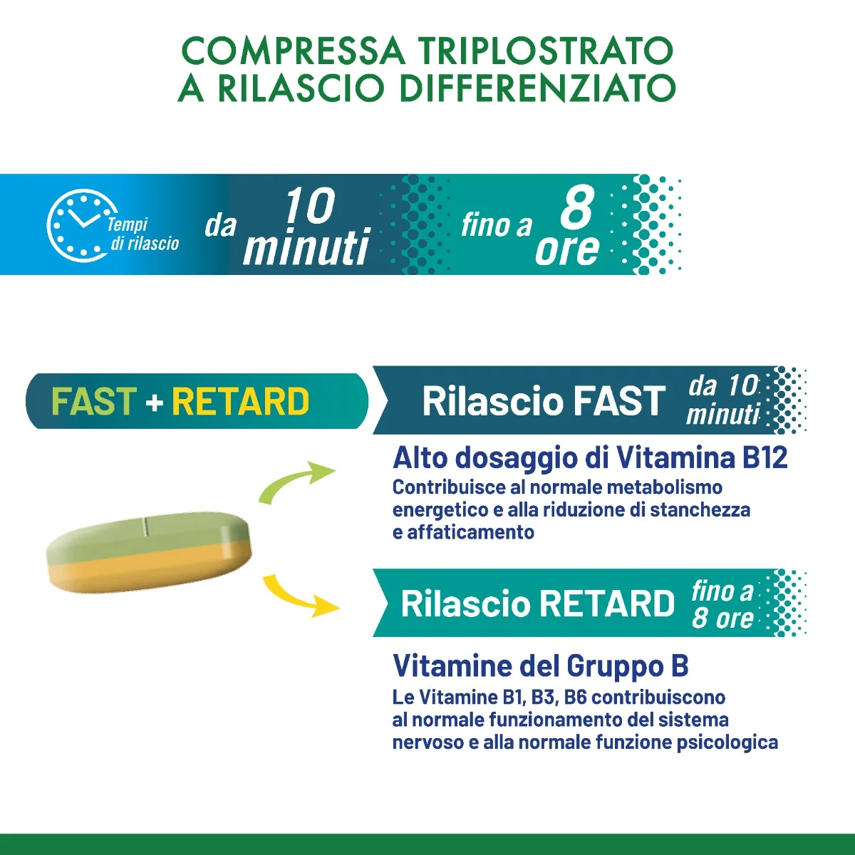 Equilibra Gruppo B 30 Compresse Integratore di Vitamina B