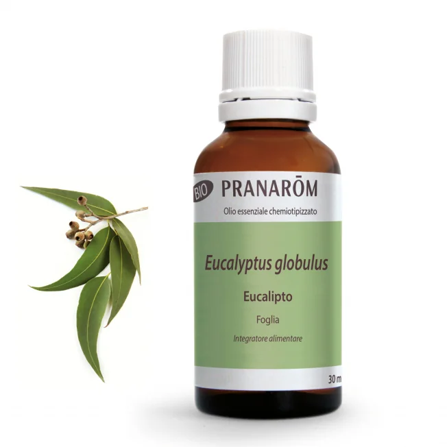 Pranarom Eucalipto 30 ml Olio Essenziale