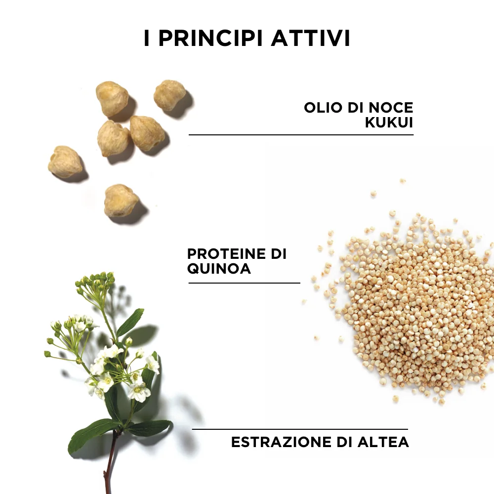Phytodefrisant Shampoo Trattamento Anti-crespo