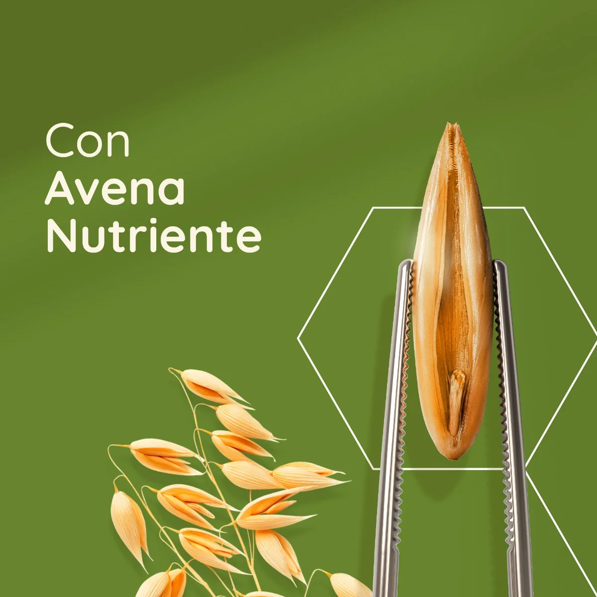 Aveeno Daily Moisturising Crema Idratante 100 ml Crema Corpo per Pelli da Normali a Secche