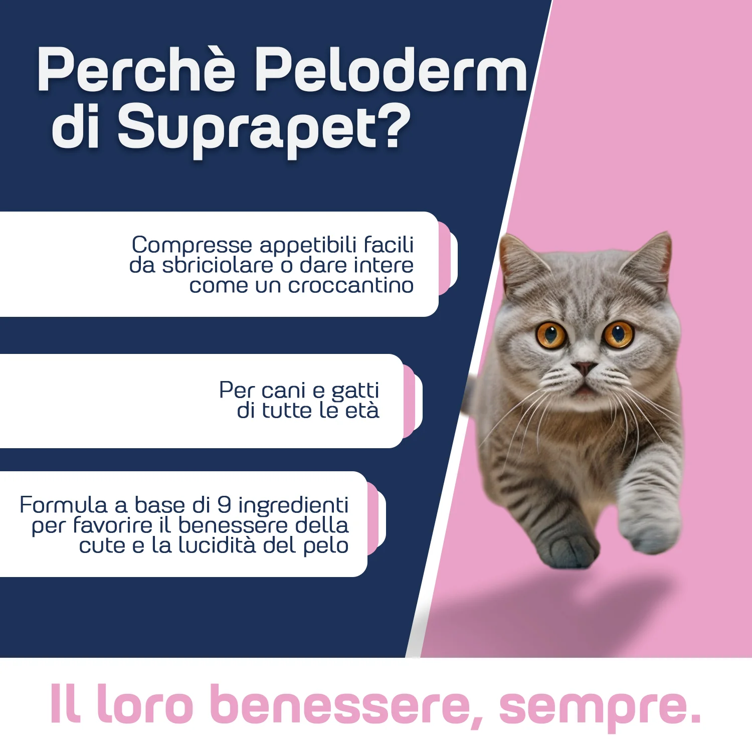 Suprapet Peloderm 90Cpr Con 6 Vitamine