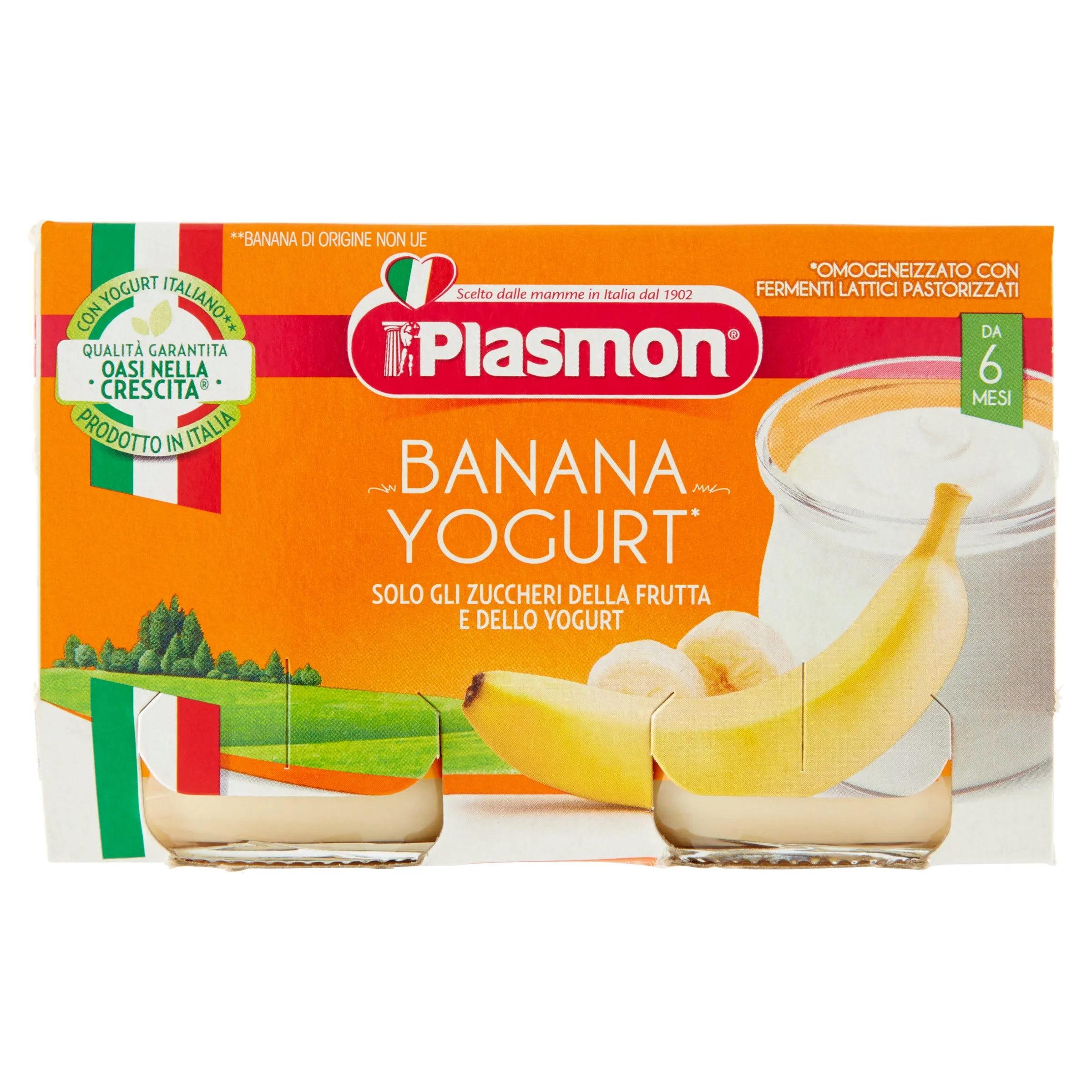 Plasmon Omogeneizzato Yogurt/Banana 120 gx2 Pezzi Alimento per l'infanzia