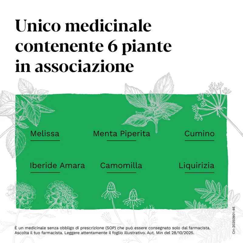 Iberogast Advance Gocce Orali 50 Ml Per il trattamento della dispepsia funzionale