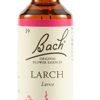 Schwabe Fiori di Bach Larch 19 Gocce 20 ml