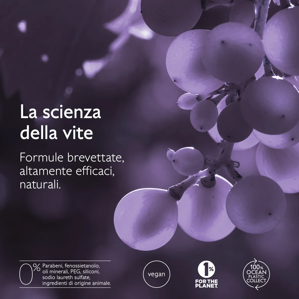 Caudalie Shampoo Ridensificante & Volumizzante Stimola Crescita Capelli