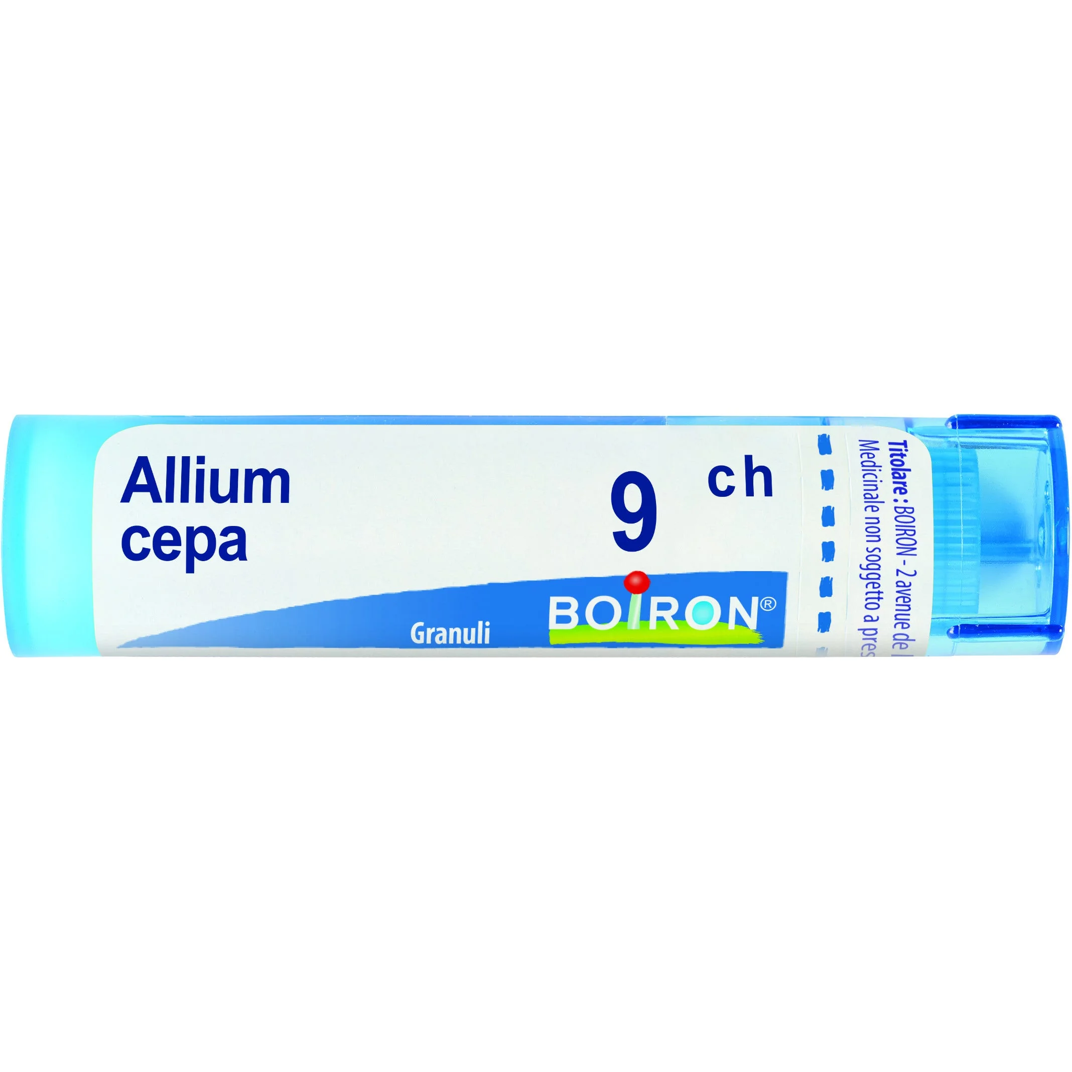 Allium Cepa 9 Ch 80 Gr 4 G