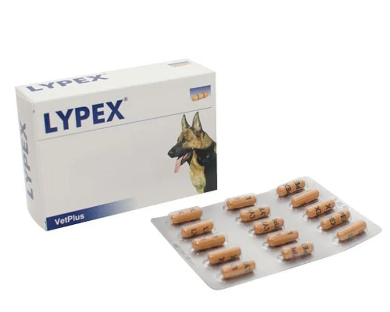 Lypex 60 Capsule Problemi Pancreatici