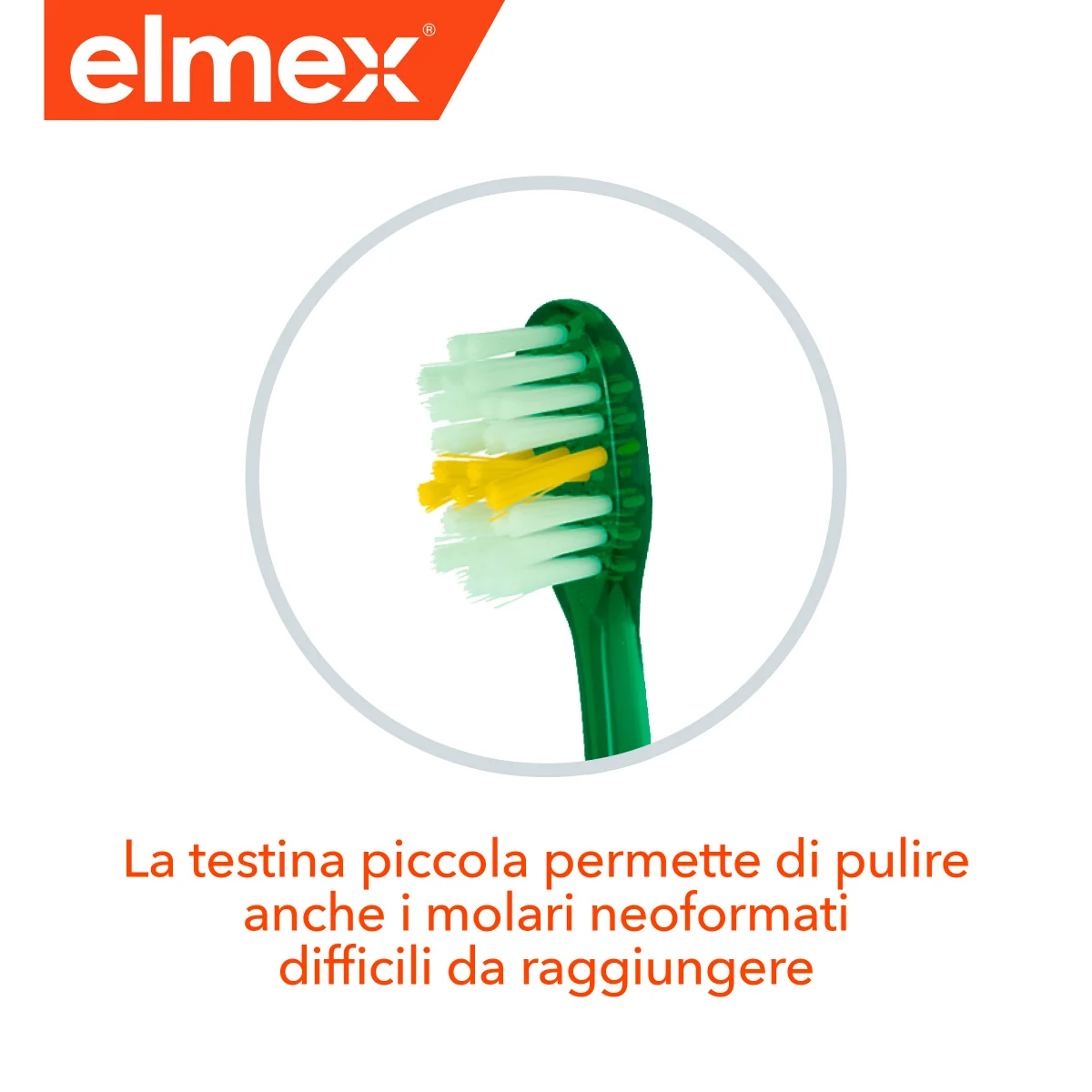 Elmex Junior Spazzolino Morbido Bambini 6-12 anni