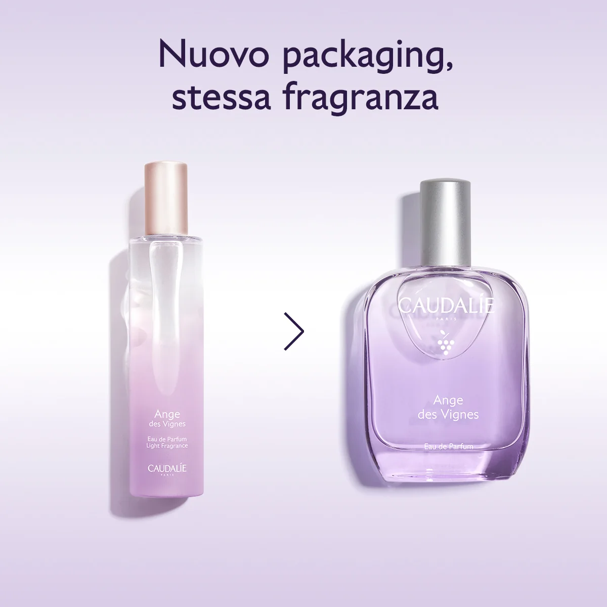 Ange Des Vignes Eau De Parfum 50 Ml