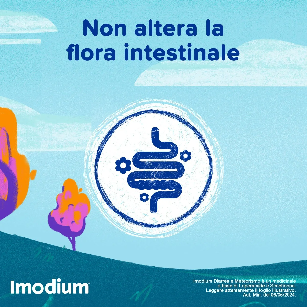 Imodium Diarrea E Meteorismo 12 Compresse Per Intestino