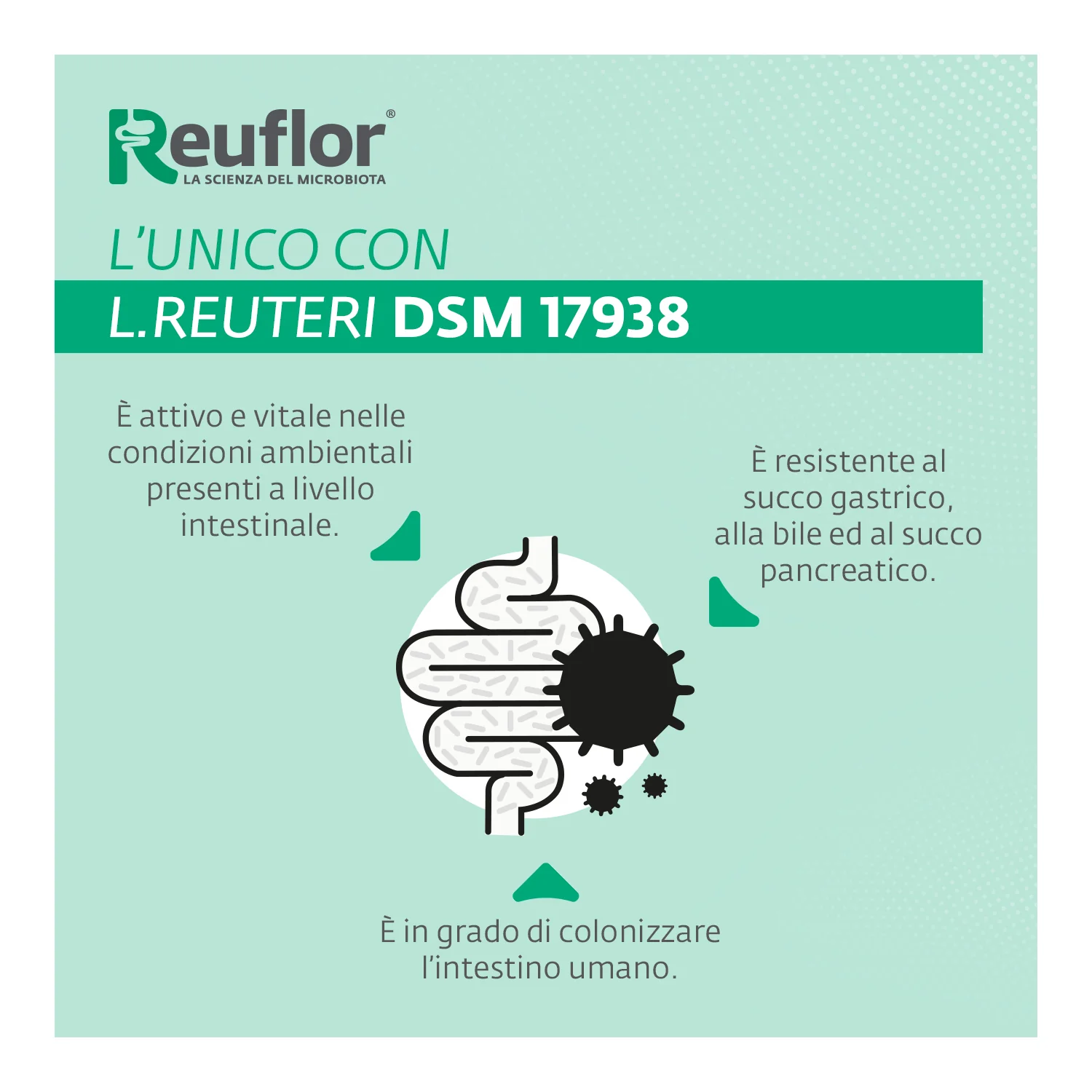 Reuflor Gocce 5 ml Fermenti Lattici