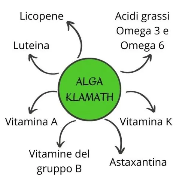 Alga Klamath: Proprietà e Benefici