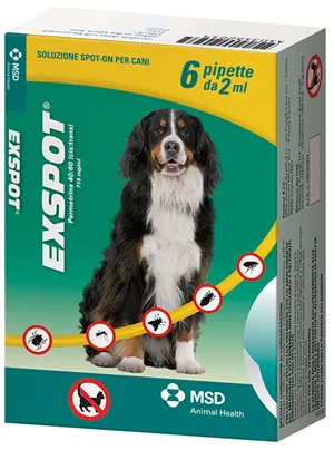 Exspot 6 Pipette Da 2 Ml