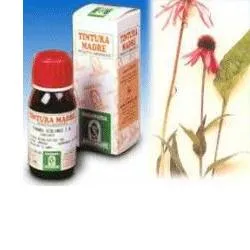 Specchiasol Echinacea 59 Tintura Madre 50 ml