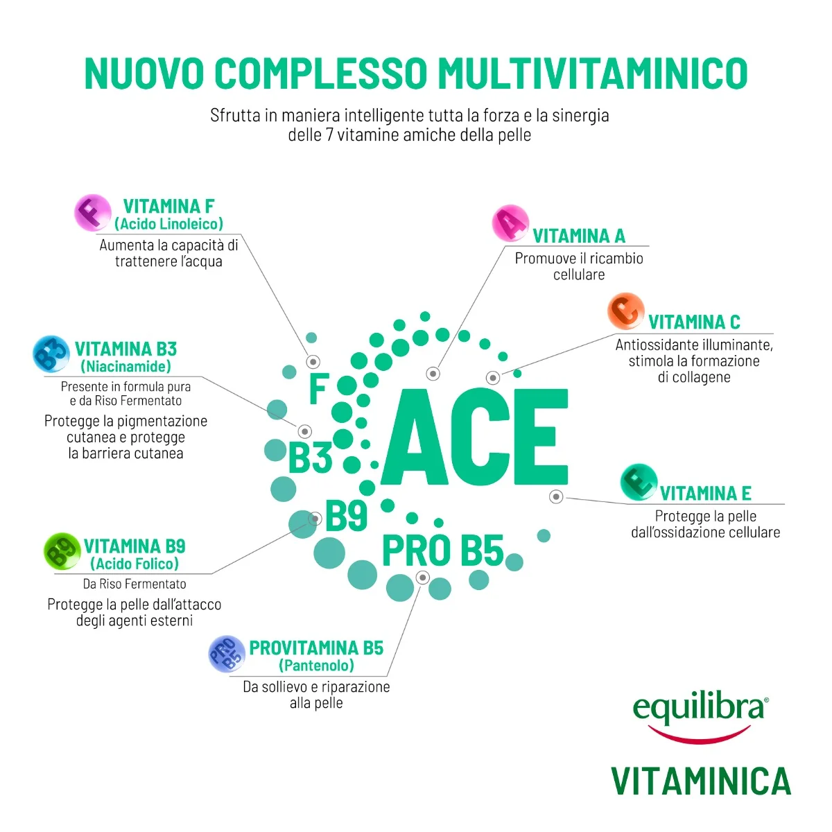 Equilibra Viso Ampolle Vitaminiche Ricostituenti 7x2,5 Ml Benessere della Pelle del Viso