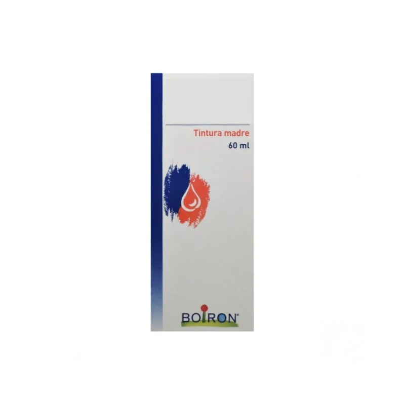 Sabal Serrulata 60 ml Tintura Madre