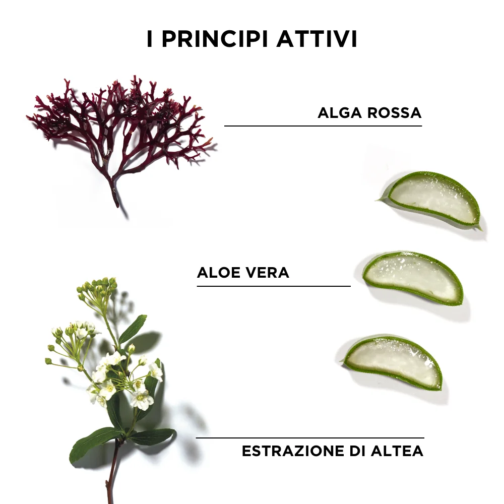 Phytodefrisant Trattamento Anti Crespo
