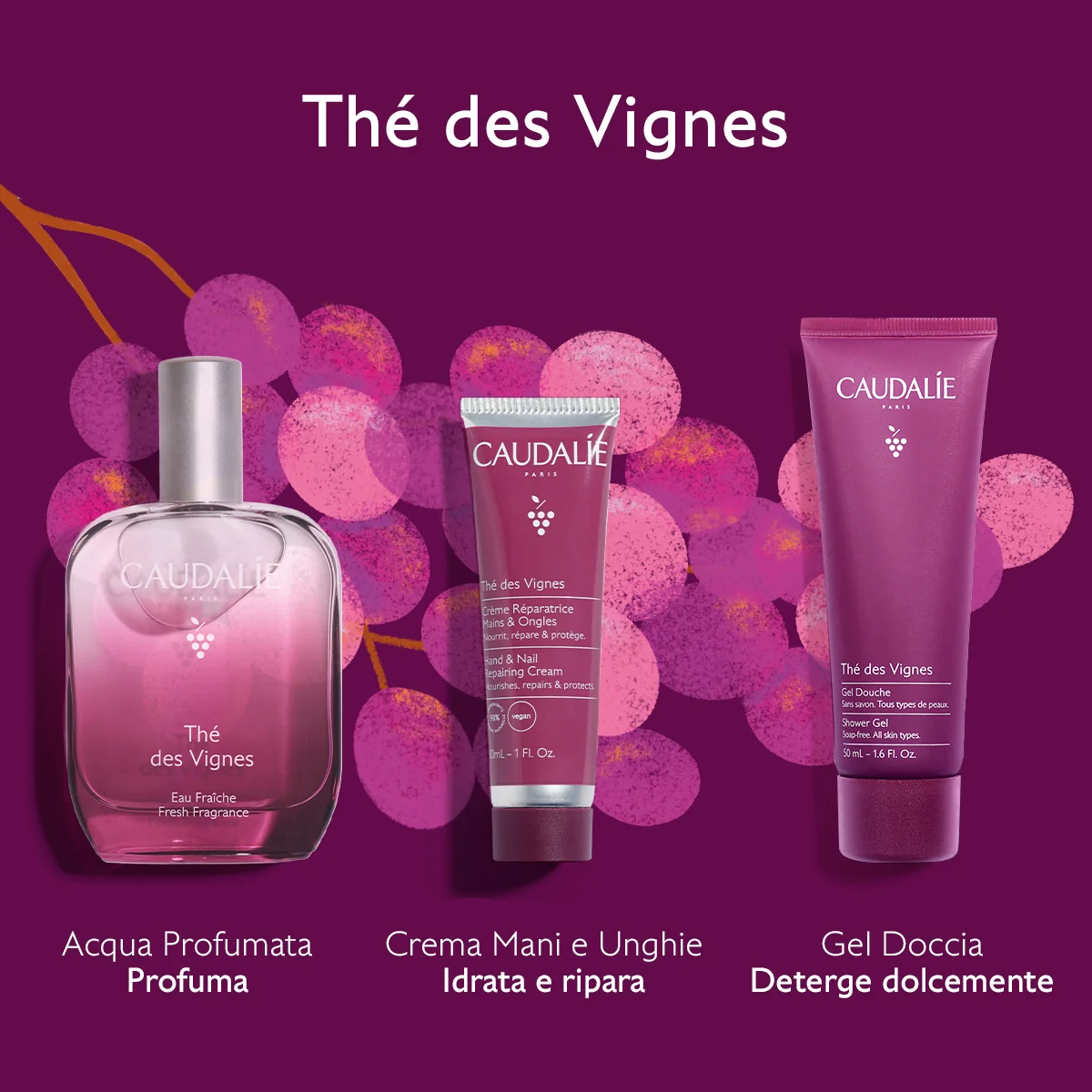 The' Des Vignes Cofanetto Xmas26