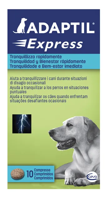Adaptil Express 10 Compresse